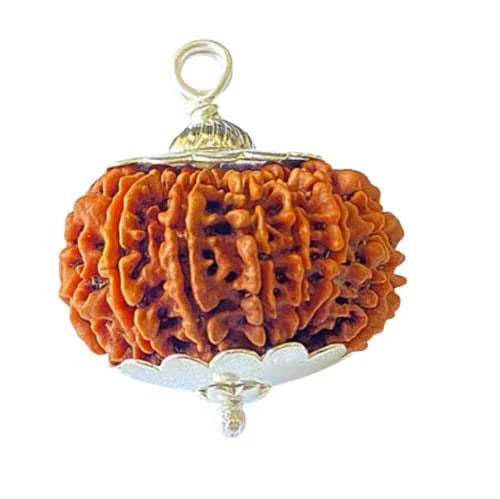 Divine 14 Mukhi Rudraksha Pendant – Power, Protection & Wisdom