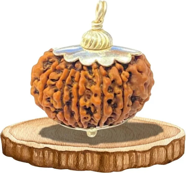 Divine 14 Mukhi Rudraksha Pendant – Power, Protection & Wisdom