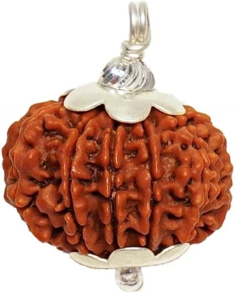 Divine 14 Mukhi Rudraksha Pendant – Power, Protection & Wisdom